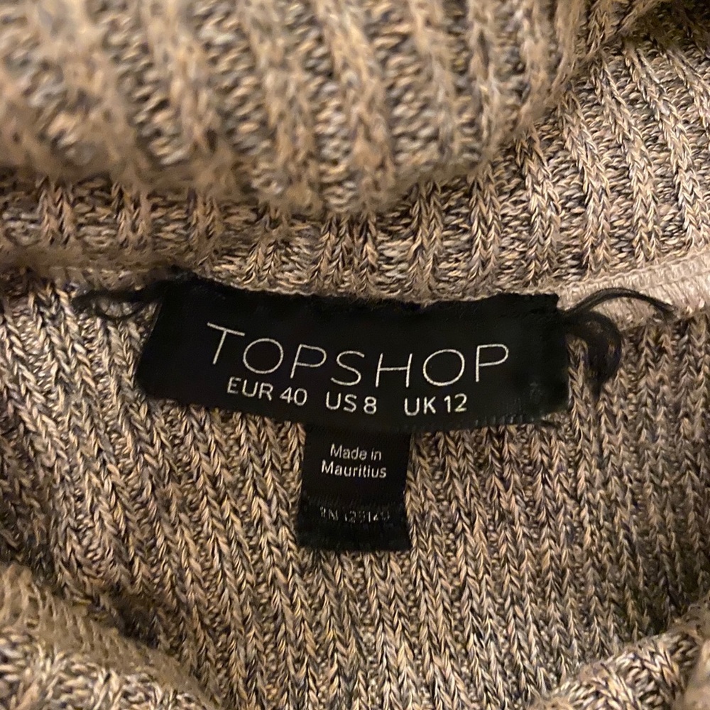 (Never worn) Topshop turtleneck sweater dress